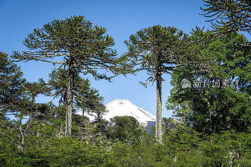 孔吉里奥国家公园的亚伊马火山