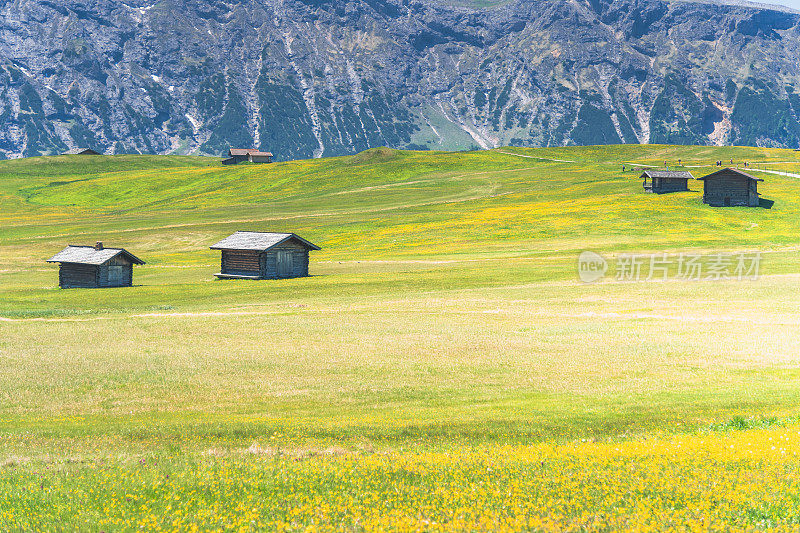 欧洲意大利Dolomites花田中的三间小屋