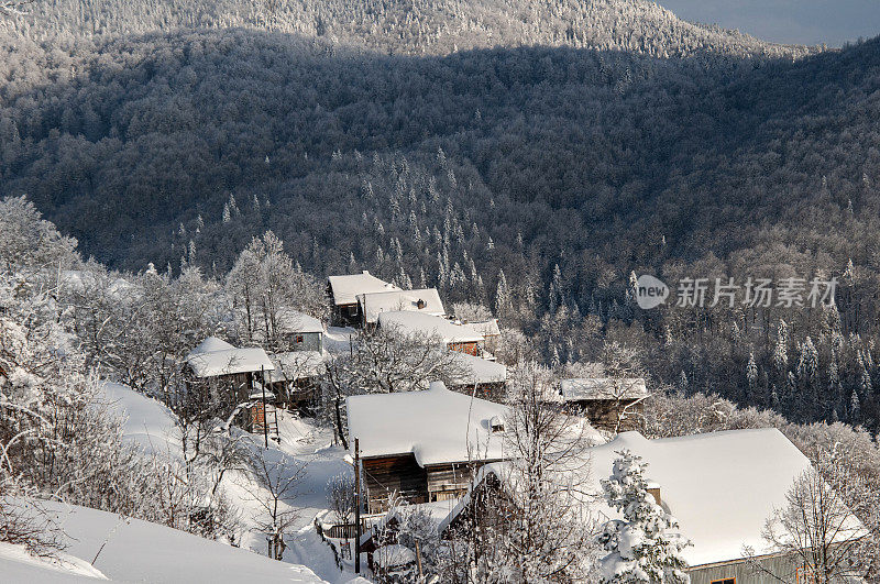 森林村下大雪