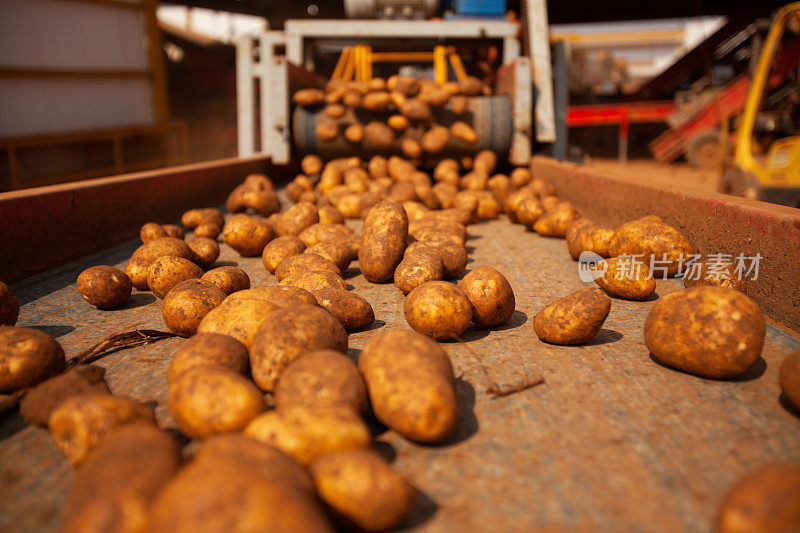 土豆的工厂