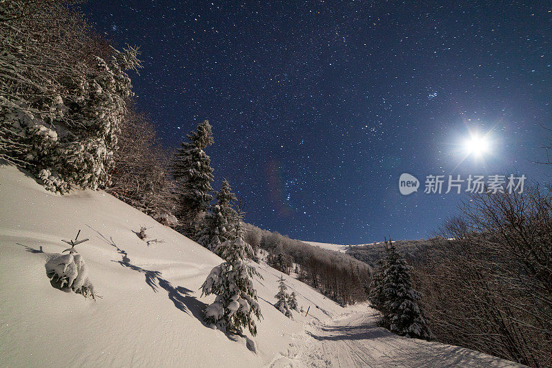 壮丽的星空笼罩着冬日的山景。夜景。月光下美丽的高大冷杉。喀尔巴阡山,乌克兰,欧洲。