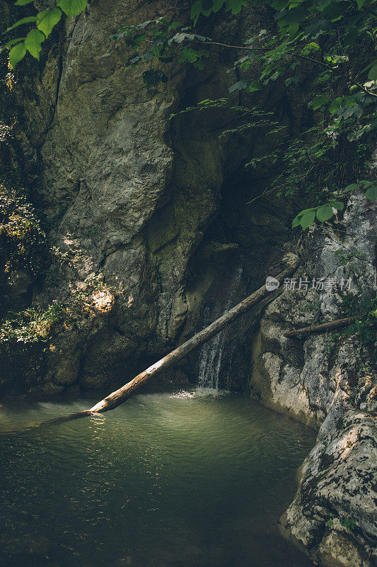 森林淡水池瀑布景观