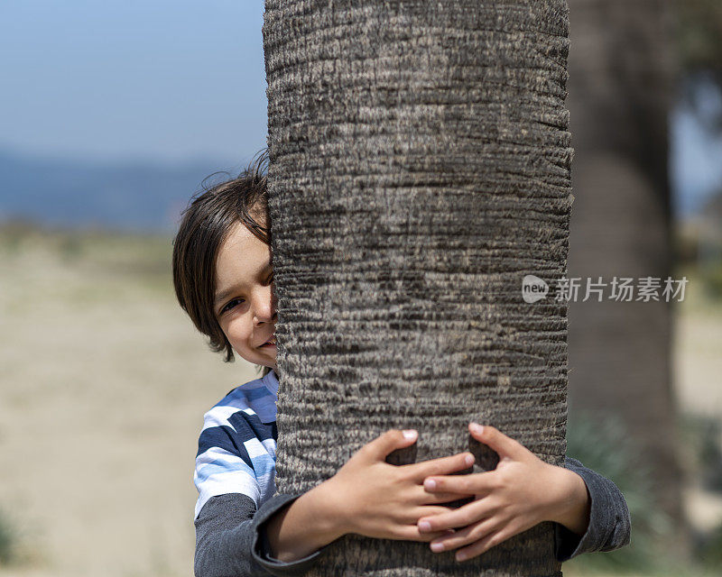 小男孩抱着一棵树