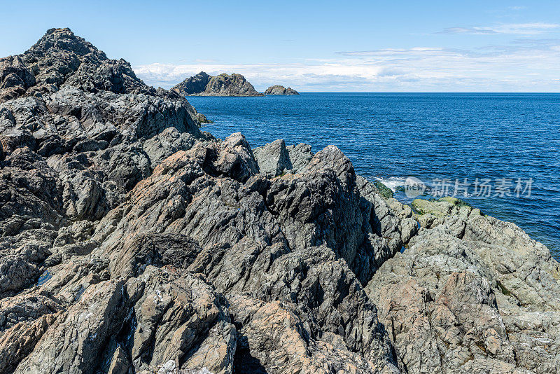 低头，保姆洞和睡眠湾小径，乌鸦头，Twillingate，加拿大