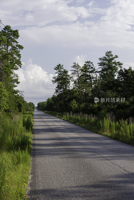 沿着笔直的柏油路的左边缘丘陵沙松森林与建设风暴云在地平线上的看法