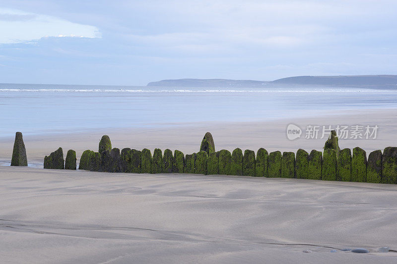 一个旧的木制groyne