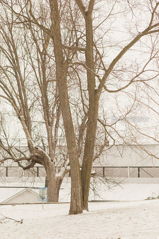 2022年12月，俄亥俄州奇利科特的雪天里，奇形怪状的雪树