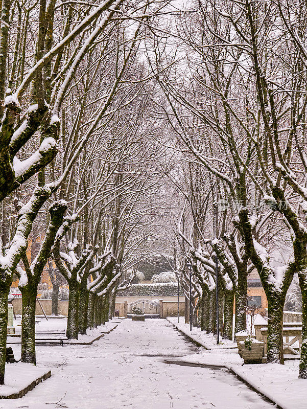 意大利中部翁布里亚(Umbria)一个中世纪村庄的冬季场景，白雪覆盖的公园大道