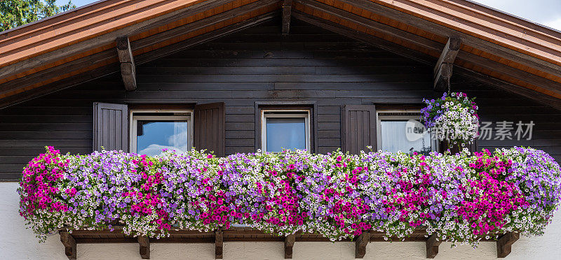阿尔卑斯山和白云石的传统花阳台。阳台上五颜六色的花。夏天的时间。花和颜色的混合。欧洲阿尔卑斯山的一般比赛