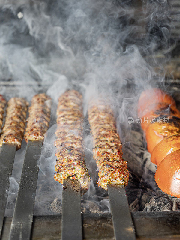 传统的土耳其烤肉串。炭烤串。羊肉串。烤肉串。阿达纳烤肉串。