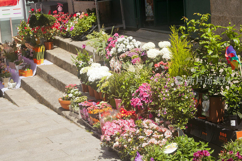 户外零售展示花盆、花店。