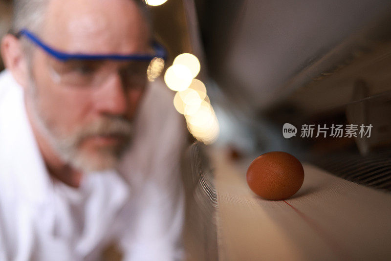 最佳鸡蛋质量是一种实用的方法来准确和一致地衡量禽蛋的产品质量。
