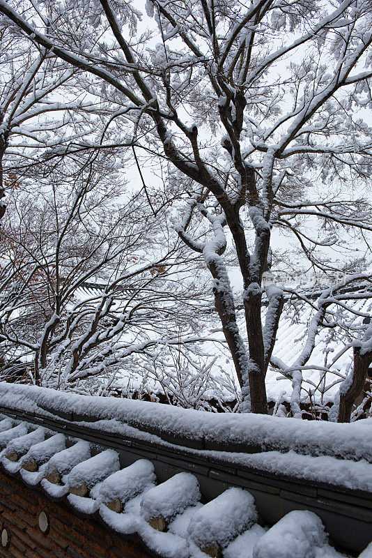 雪覆盖了韩国传统的石墙和屋顶瓦