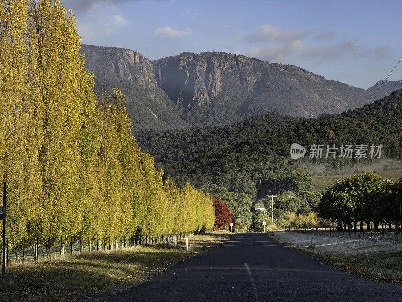 树线街景到山