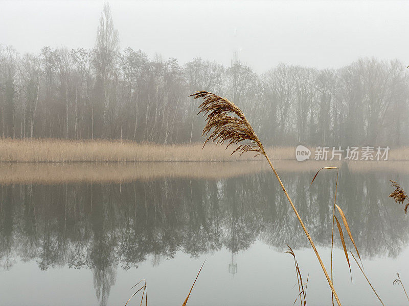 雾湖