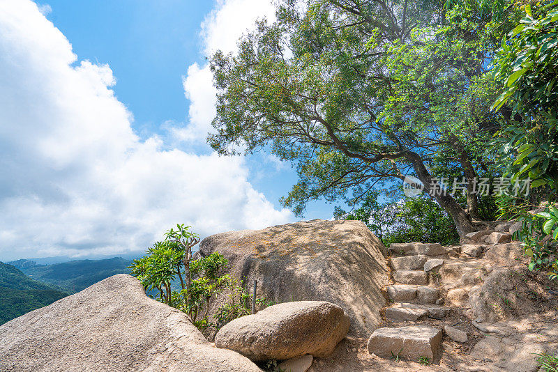 香港森林公园的石阶
