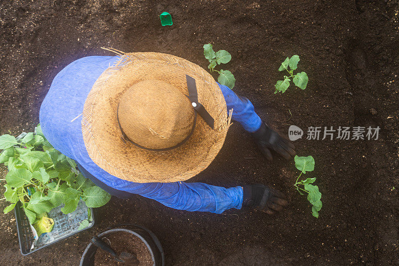 一位日本老农在他的花园里