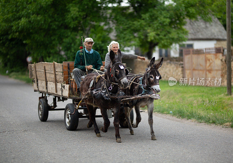 农夫坐在两头驴拉着的马车上