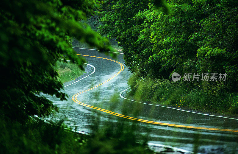 蜿蜒的道路