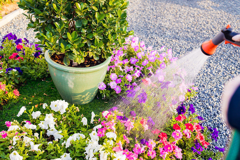 日常活动和爱好——女人给后院花园浇水