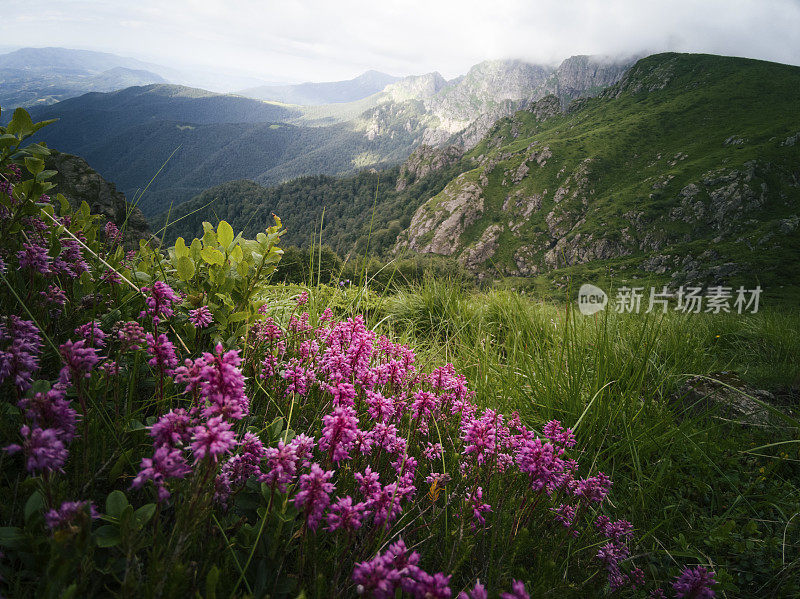 POV，回归自然。在山上远足，欣赏美丽的景色。2019冠状病毒病大流行后的夏日户外享受。