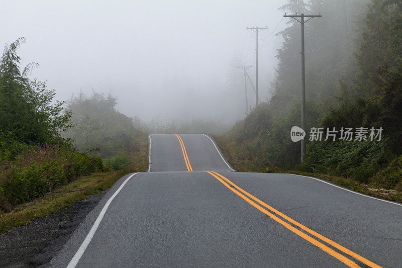 雾中的西海岸公路