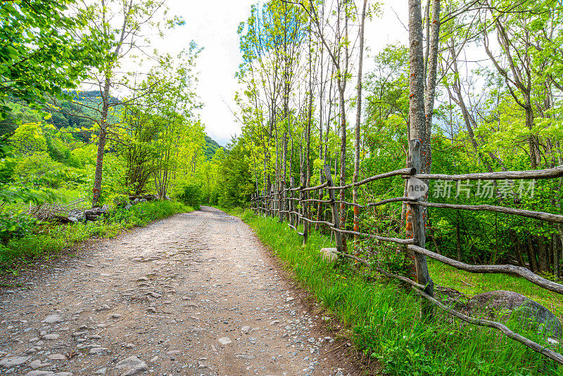 蜿蜒的道路在老山或斯达拉平原的乡间穿行