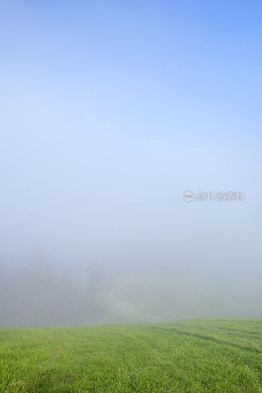 蓝天、绿草和薄雾的背景