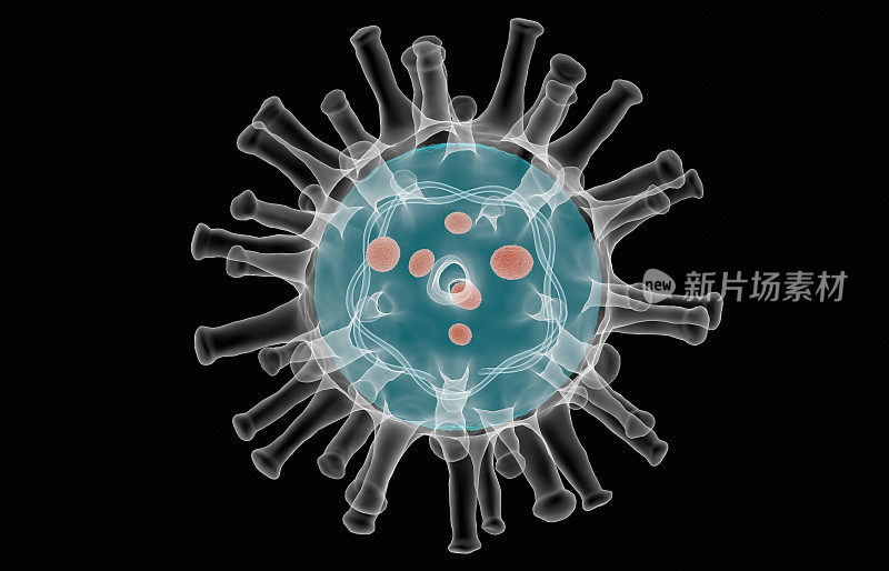x射线显微镜下的冠状病毒COVID-19内部