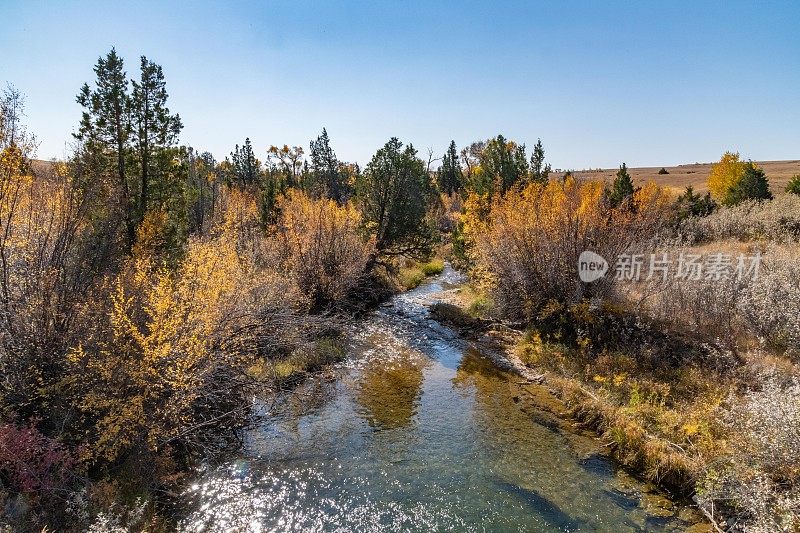 秋景非常乡村的蒙大拿牧场草原