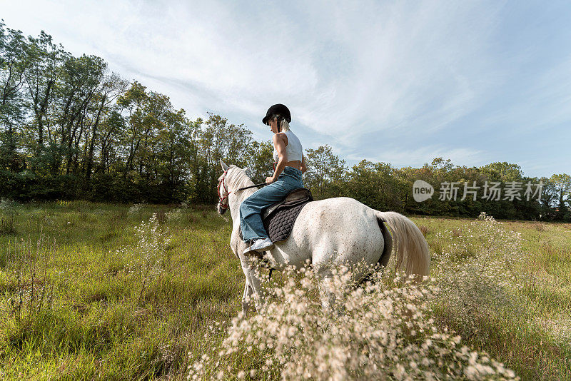 年轻美丽的女人和她的马在牧场自由漫步