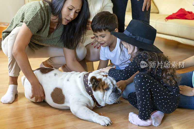 兴奋的多代家庭享受与他们的宠物的友谊。