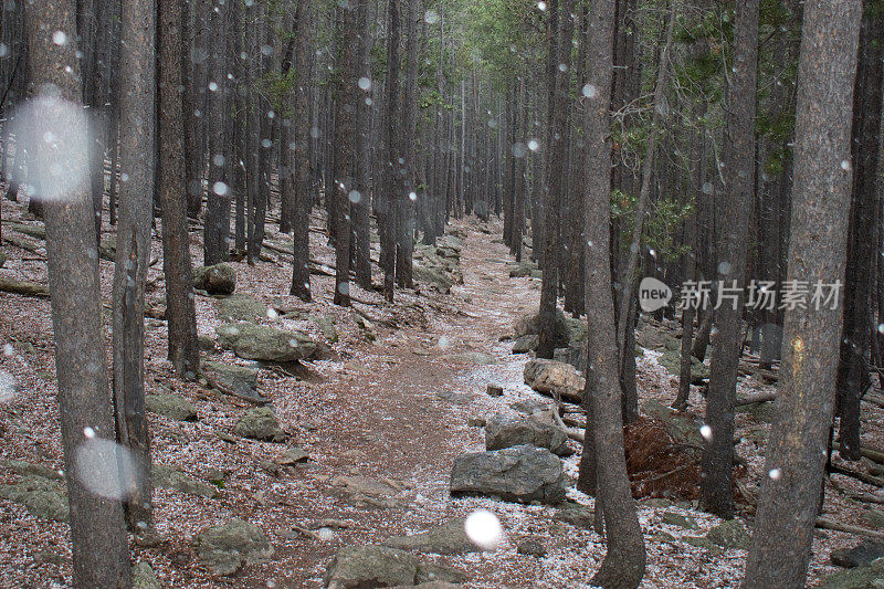 落基山国家公园-雪