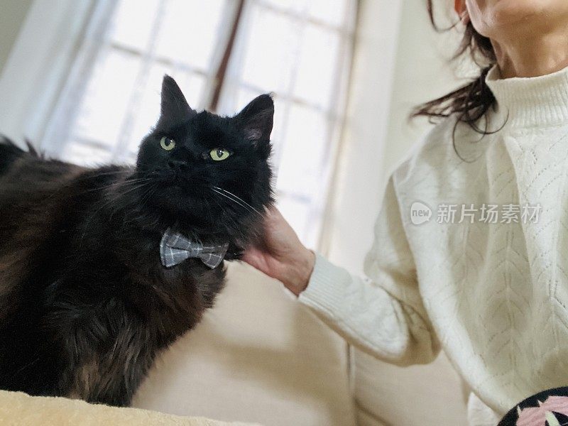 一个女人在客厅里和一只可爱的黑猫一起放松