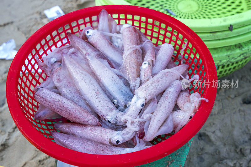 新鲜的墨鱼在鱼市上被捕获。