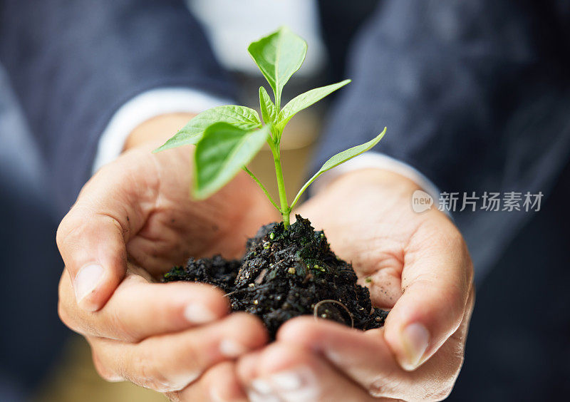 一个面目全非的商人拿着一棵从土里长出来的植物