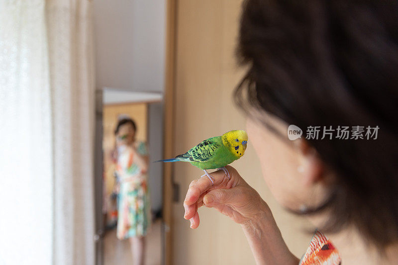 妇女享受打扮在家里与宠物鸟