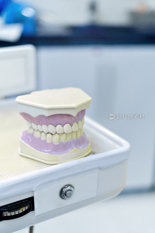 牙科模型牙科护理桌上。