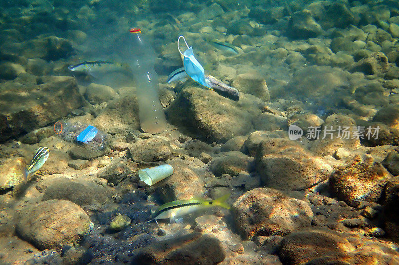 聚丙烯口罩和塑料瓶是水生系统的污染物