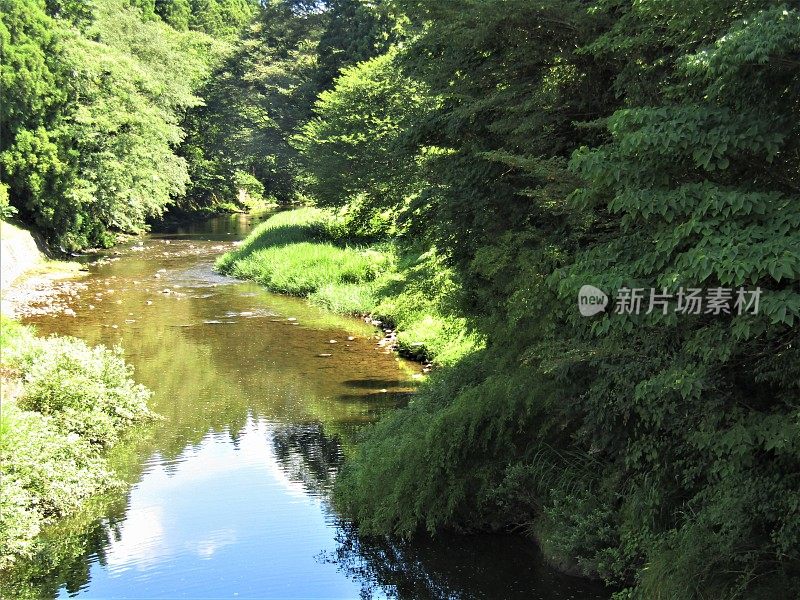 日本。8月。这条山河从山上流下后变得非常平静。