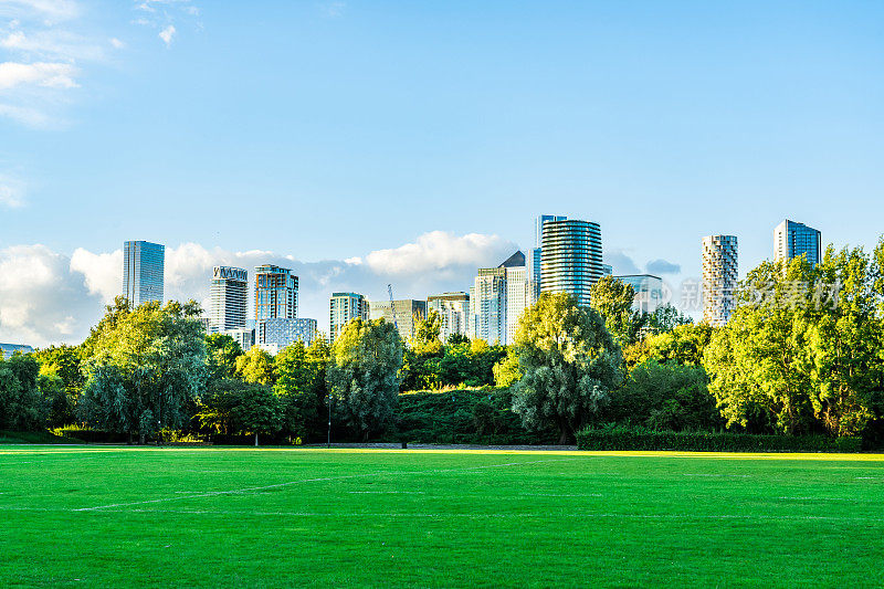 在大城市公园的绿色草地