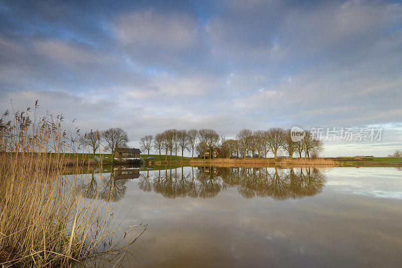 在IJsseldelta的一个老堤坝决口池塘的景观