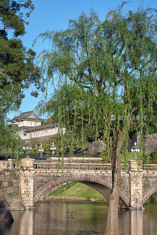 故宫正门的石桥和佛面塔