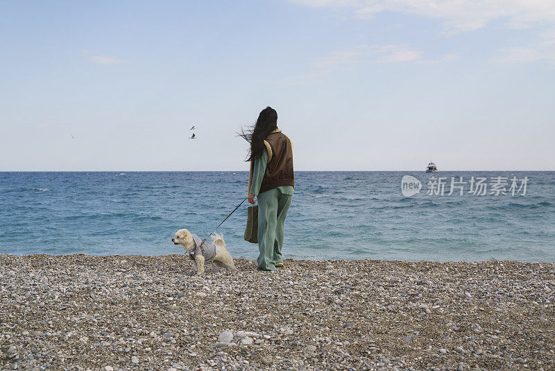 一个年轻女子带着她的小狗在沙滩上散步