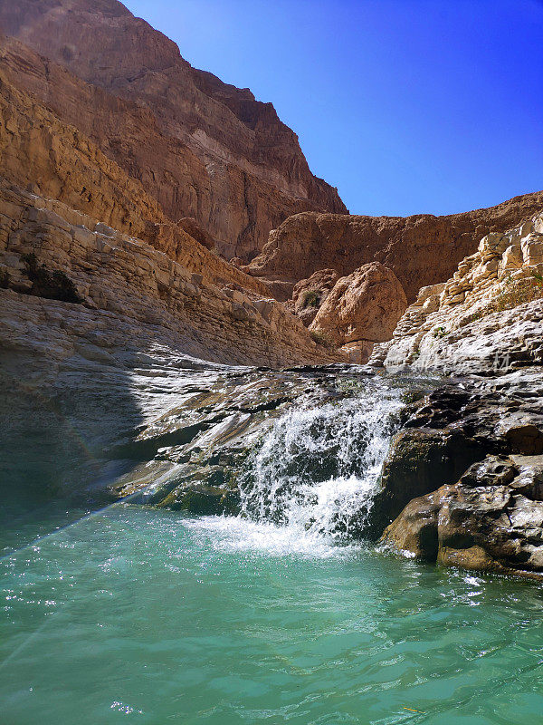 沙漠绿洲徒步旅行到一个有瀑布的游泳池