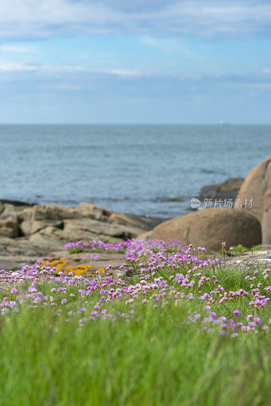 哈海节俭