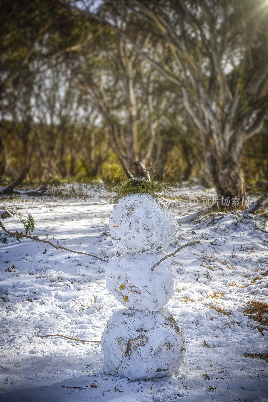 晚餐平原地上的雪人