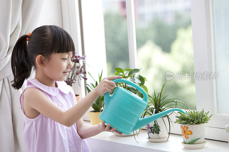 小女孩给室内盆栽浇水