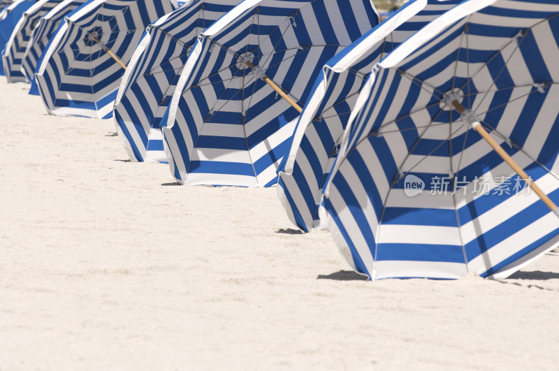 迈阿密海滩一排排的蓝白条纹雨伞