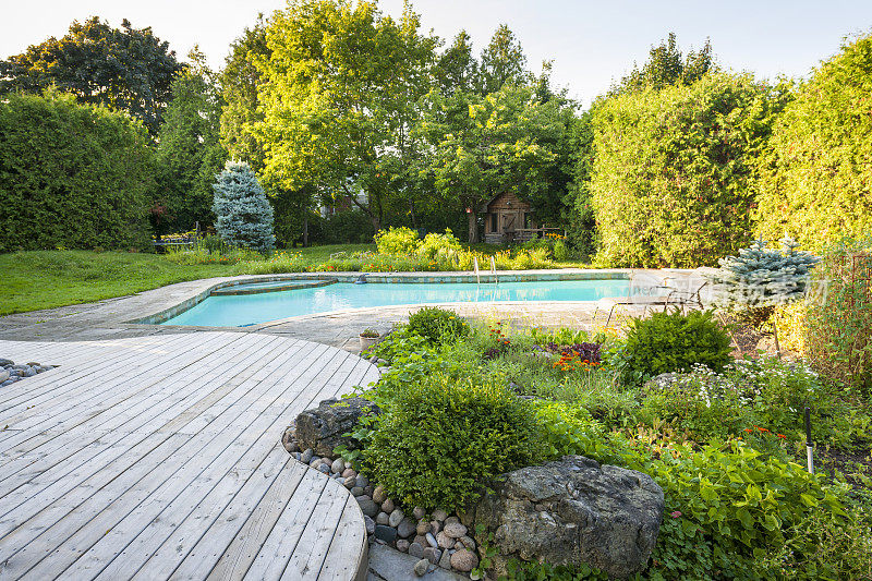 后院有灌木丛和游泳池的花园